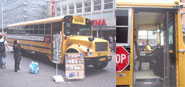 Saved by the bus